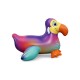 41504 (141x113) Dandy Dodo