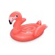 41526 (160x120) flamingo