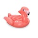 41526 (160x120) flamingo