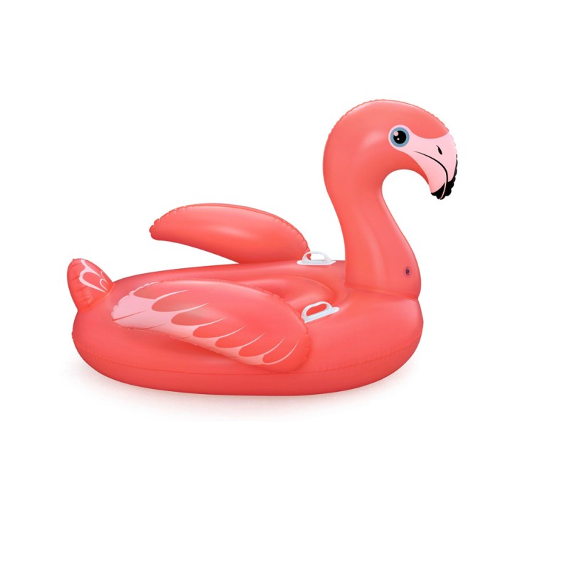 41526 (160x120) flamingo