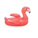 41526 (160x120) flamingo