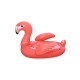 41526 (160x120) flamingo